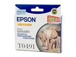 Epson T0491 Black Ink Cart
