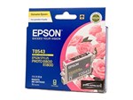 Epson T0543 Magenta Ink