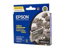 Epson T0541 Photo Black Ink